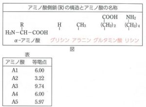 一問一答 有機 天然高分子 アミノ酸 タンパク質 飯塚セミナー